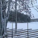 Vuorenpaeae *