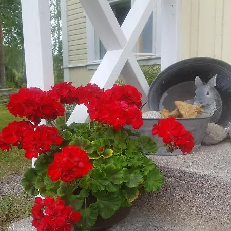 Vuorenpaeae Holiday home *