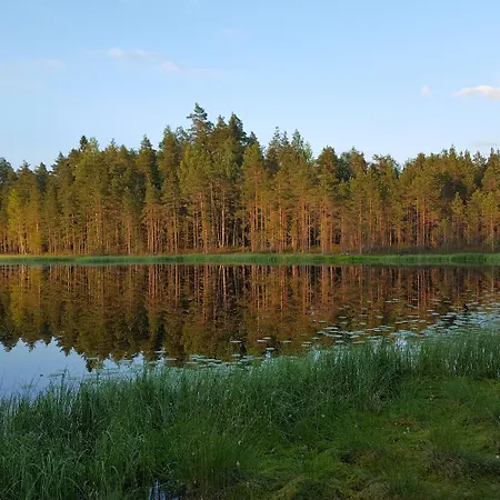 Vuorenpaeae * Tammela