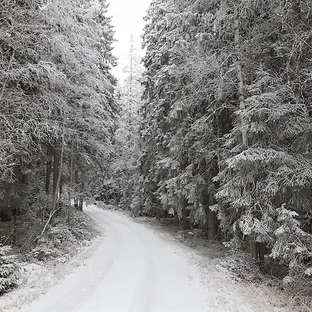 Vuorenpaeae Ferienhaus *