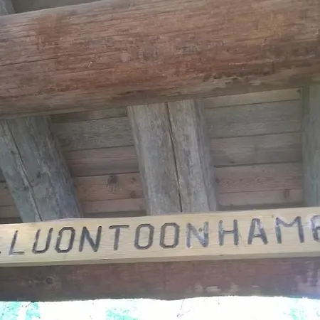 Ferienhaus Vuorenpaeae *