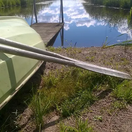 Vuorenpaeae