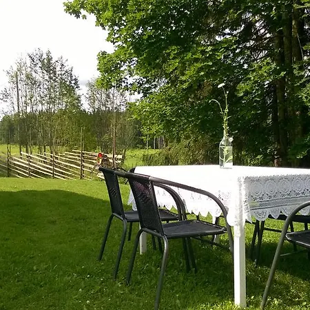 Dom wakacyjny Vuorenpaeae