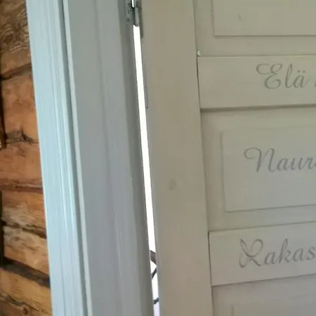 Vuorenpaeae *