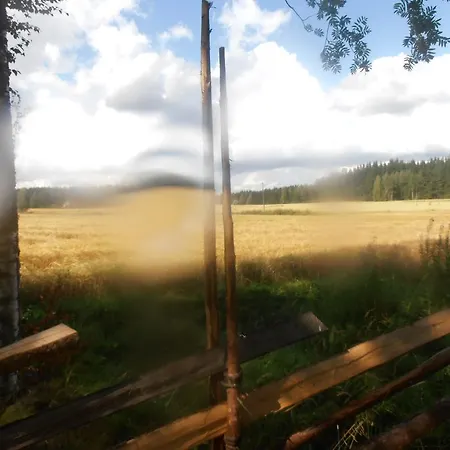 Vuorenpaeae Dom wakacyjny *