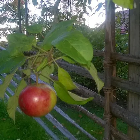 Dom wakacyjny Vuorenpaeae