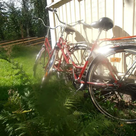 Ferienhaus Vuorenpaeae *