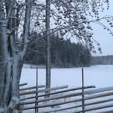 Vuorenpaeae *