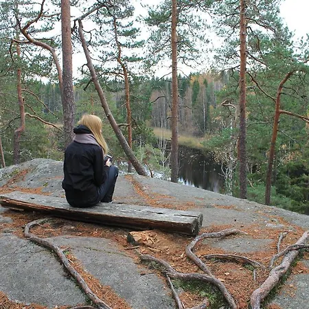 Vuorenpaeae * Tammela