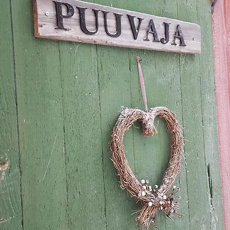 Dom wakacyjny Vuorenpaeae *