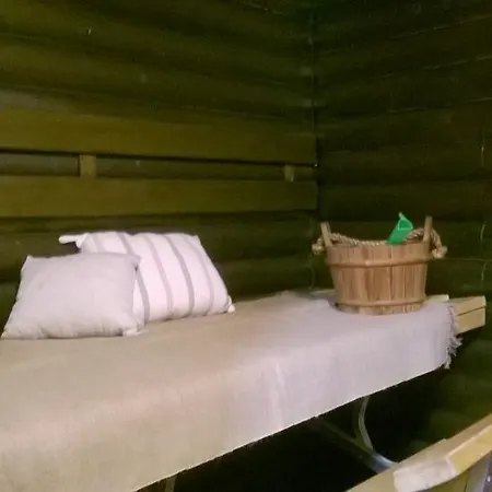 Vuorenpaeae Ferienhaus *