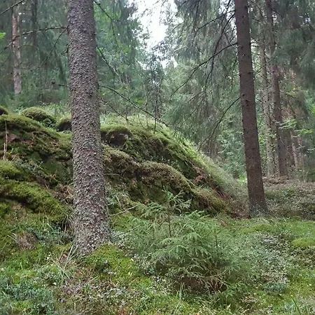 Vuorenpaeae Ferienhaus