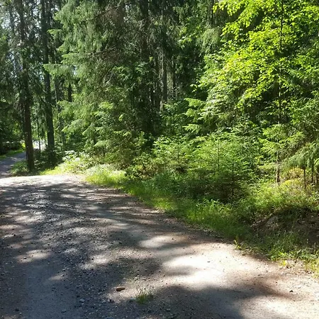 Vuorenpaeae Holiday home *