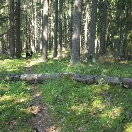 Vuorenpaeae Tammela