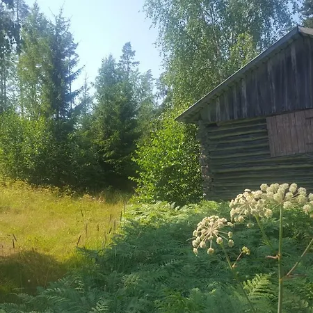 Vuorenpaeae Holiday home *