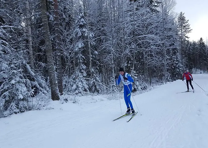 Vuorenpaeae * Tammela